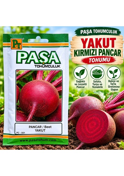 Yakut Kırmızı Pancar Tohumu 25 Gram