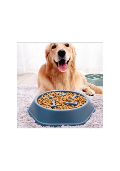 Kedi-köpek Yavaş Yeme Mama Kabı  Sindirim Düzenleyici Mama Kabı Çok Renkli