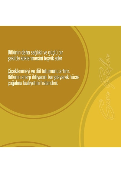 Naturwin P 3-28-0 Sıvı Fosfor Gübre 5 Litre
