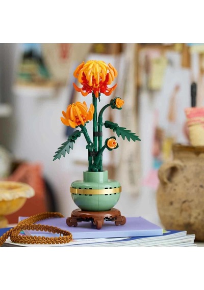 Mey İthalat Icons Krizantem 10368