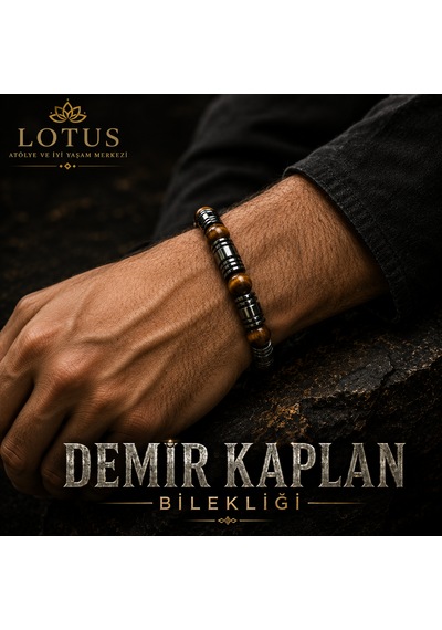 Demir Kaplan Bilekliği Kaplan Gözü, Boru Hematit & Disk Hematit