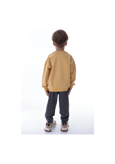 Erkek Çocuk Hayvan Figürlü Sarı Sweatshirt Ve Gri Eşofman Takımı Yumuşak Kumaş, Rahat Kalıp Takım Sarı