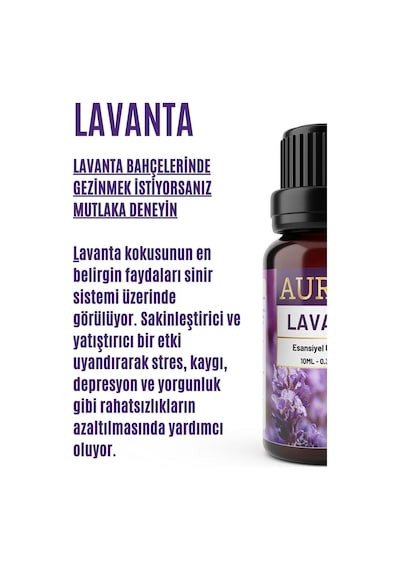 AURAN Lavanta Buhurdanlık Yağı 10ml AURAN Lavanta Buhurdanlık Yağı 10ml