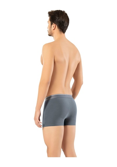 Erdem Füme Pamuk Elastan Klasik Boxer 1445 Füme