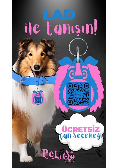 Petjoo 23.Lad Pembe-Mavi Qr'lı Köpek Künyesi