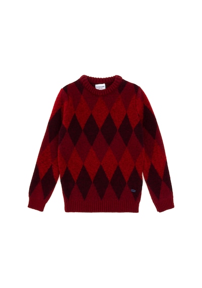 U.s. Polo Assn. Erkek Çocuk Vişne Kazak /triko 50293014-vr223 Vişne