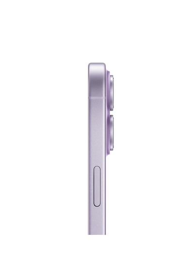 Apple iPhone 17 256 GB  (Apple Türkiye Garantili)