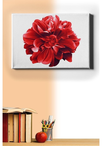Webstyle Sayılarla Boyama Seti Kasnaklı Yıldız Çiçeği 50 X 65 Cm