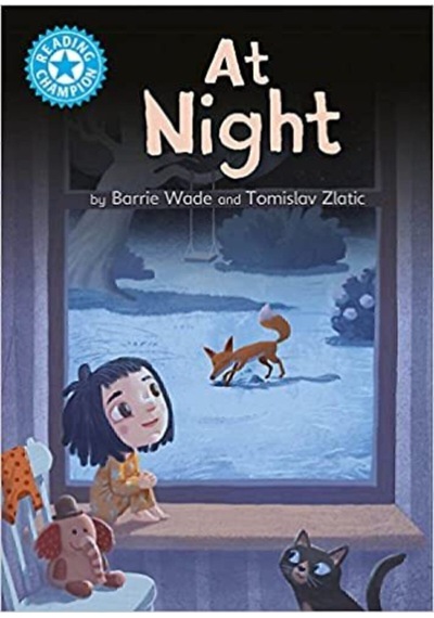Reading Champion: At Night: Independent Reading Blue 4