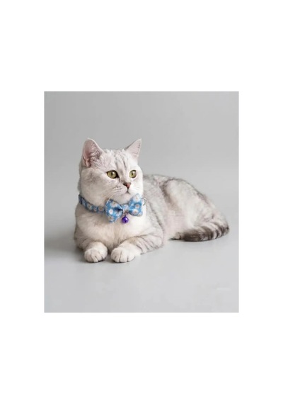 Zilli Kedi Papyon Tasması 2'li Avantaj Seti