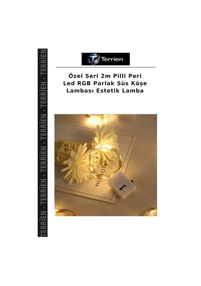 Özel Seri 2m Pilli Peri Led Rgb Parlak Süs Köşe Lambası Estetik Lamba