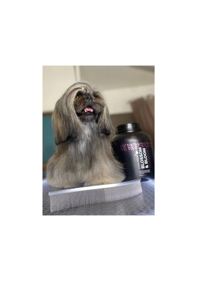 Showtech Blossom & Bloom Besleyici Köpek Tüy Kremi 125 Ml - 20:1 Oranına Kadar Konsantre