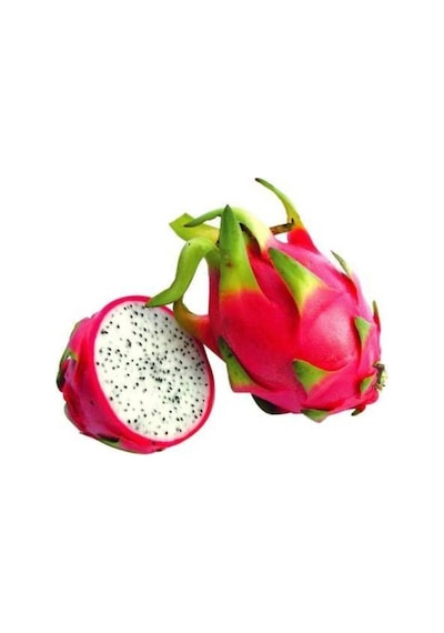 Bodur Pitaya Ağacı Tohumu Beyaz Pitaya Ağacı Tohumu Cüce Pitaya 10 Adet Tohum