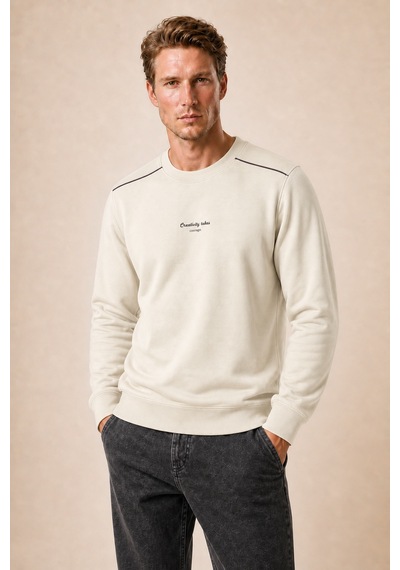 Redline Qwen Bisiklet Yaka Regular Fit Kışlık Sweatshirt Taş