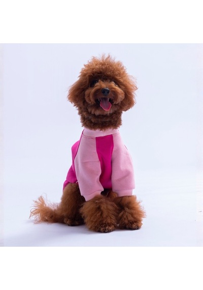 Fuşya Boston Pawstar Sweat Köpek Sweatshirt Köpek Sweat Köpek Kıyafeti Kedi Kıyafeti