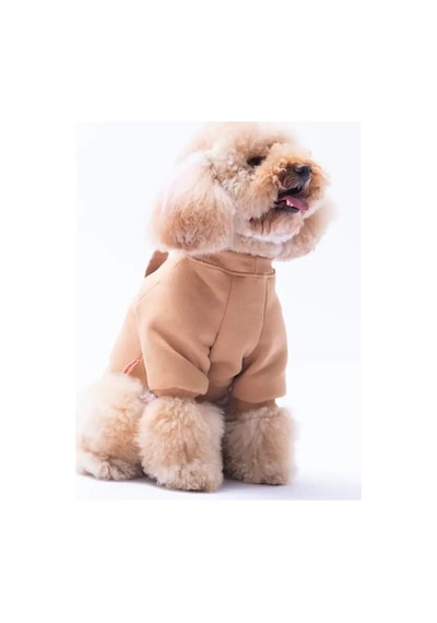 Pawstar Kahverengi Dublin Hopper Polarlı Küçük Irk Köpek Sweatshirtü