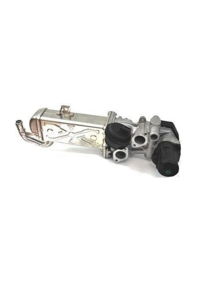 DELPHI EG10472-12B1 EGR Valfi A3 Q3 Tt Altea Ibiza Leon Octavia Superb Yeti Beetle Caddy Cc Eos Golf Jetta Passat 03