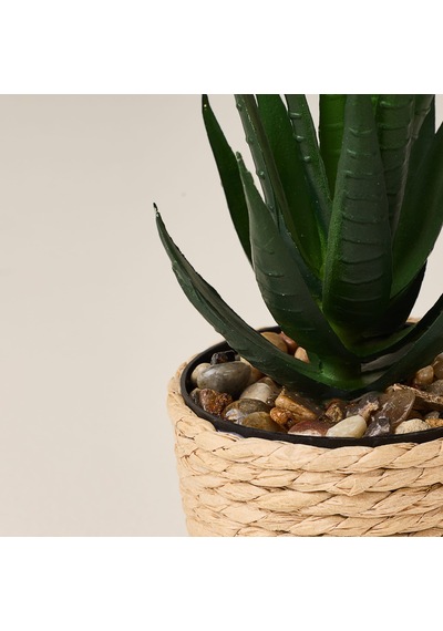 Deco Hasır Saksı Yapay Aloe Vera - Bej / Yeşil - 14x6 Cm Çok Renkli