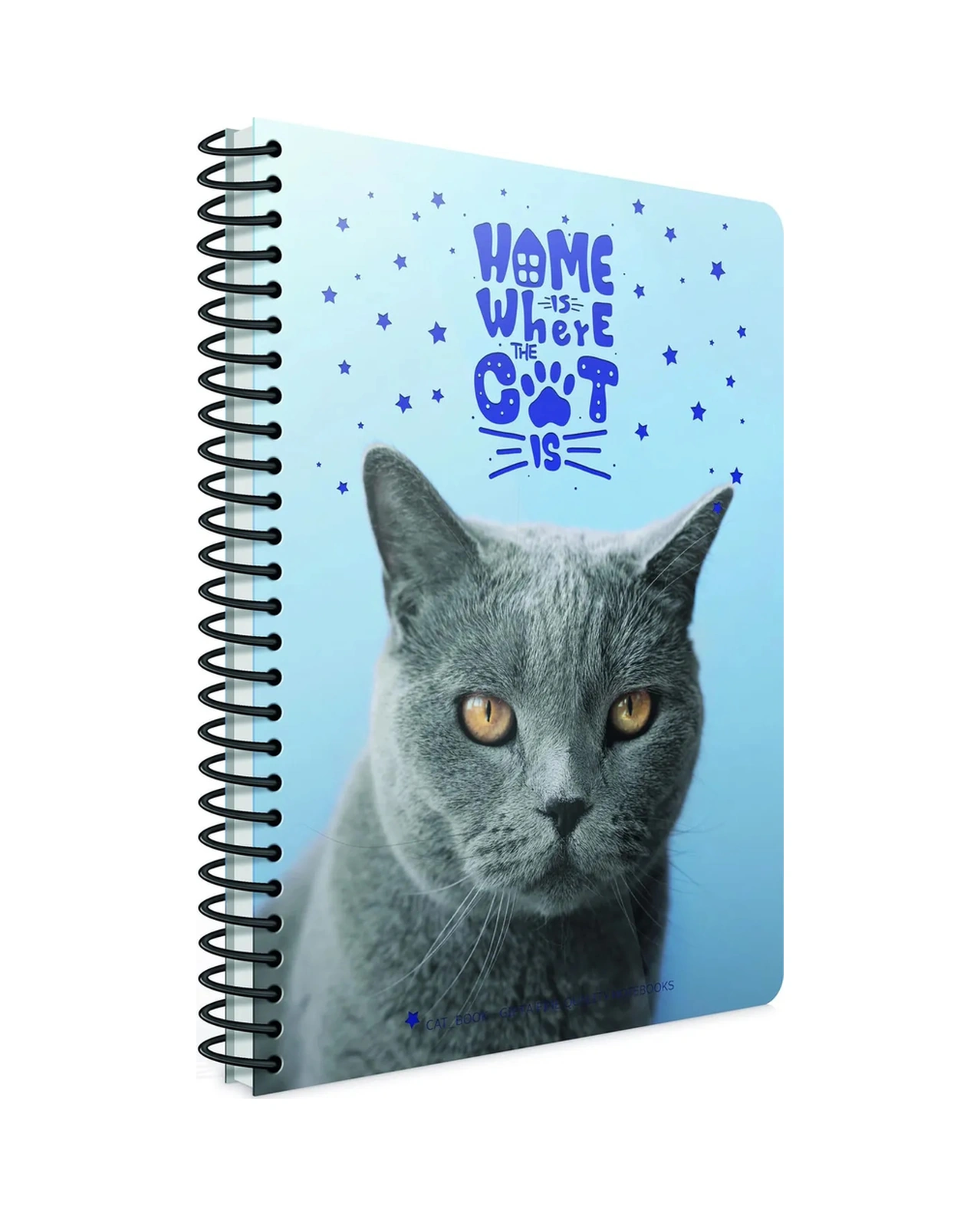 Cat-book Spiralli Plastik Kapak Defter A4 120 Yaprak Kareli 4 Lü Paket Kediler