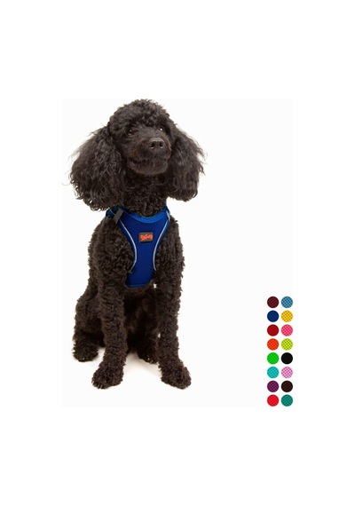 Tailpetz Air-mesh Küçük Ve Orta Irk Kedi Köpek Göğüs Tasması - Yumuşak, Nefes Alabilir, Dayanıklı Saks, Xsmall Sku: Zeusb0b8258k2l Açık Bej - Bej Tailpetz Air-mesh Küçük Ve Orta Irk Kedi Köpek Göğüs Tasması - Yumuşak, Nefes Alabilir, Dayanıklı Saks, Xsmall Sku: Zeusb0b8258k2l Açık Bej - Bej