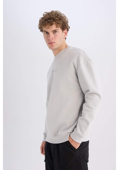 DeFacto Boxy Fit Bisiklet Yaka Baskılı Sweatshirt X8282AZ24AUGR184