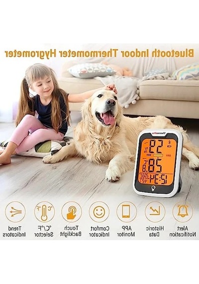 Dijital İç Mekan Termometresi, Sıcaklık Ölçer