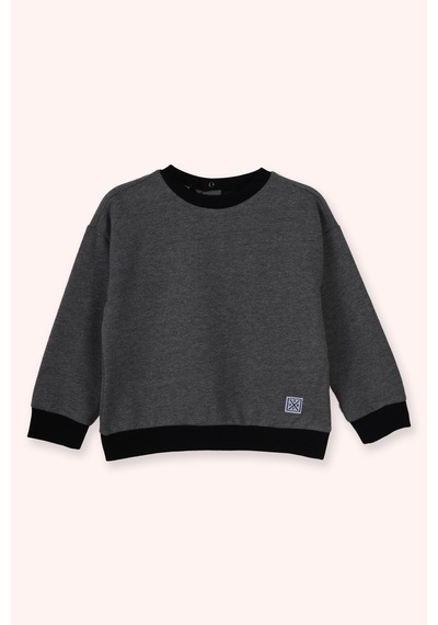 Panço Erkek Bebek Yuvarlak Yaka Antrasit Sweatshirt Gri