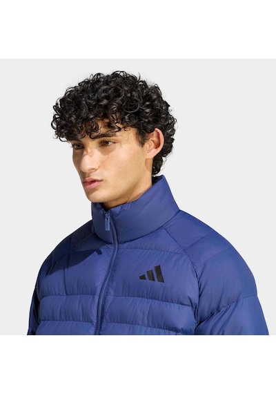Adidas Essentials Erkek Mavi Mont Ks7699