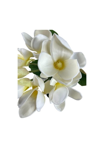 Yapay Çiçek Manolya Letex Eva Magnolia 33Cm Beyaz Krem