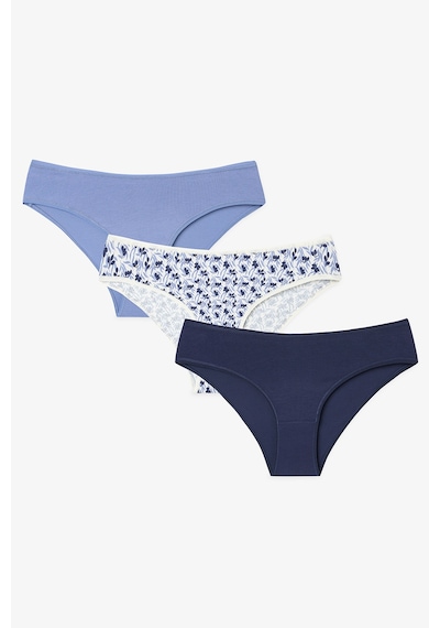 Penti Blue Autumn Yaprak Desenli Düşük Bel 3'lü Slip Külot