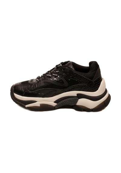 Ash Bayan Sneaker Addict Siyah
