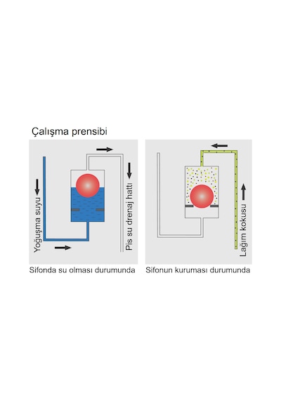 Dallmer Koku Önleyici Klima Yoğuşma Sifonu 136 , 1 1/4" x DN40