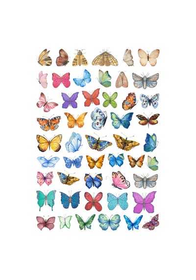 50 Adet Fairycore Kawai Kelebek Sticker Seti - Etiket Seti Scrapbook Bullet Journal Çok Renkli