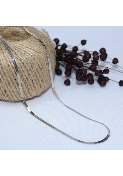 316 L Yassı Yılan Model Çelik Erkek Kolye 2Mm 55Cm (455376326)