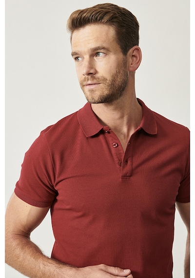 AC&Co / Altınyıldız Classics Altinyildiz Classics Erkek Bordo Slim Fit Dar Kesim Polo Yaka %100 Pamuk Tişört 4A4820200001BRDS Bordo AC&Co / Altınyıldız Classics Altinyildiz Classics Erkek Bordo Slim Fit Dar Kesim Polo Yaka %100 Pamuk Tişört 4A4820200001BRDS Bordo