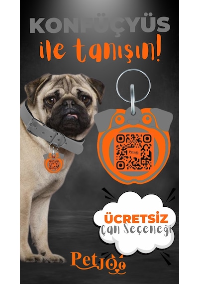 Petjoo 9.Konfüçyüs Turuncu-Gri Qr'lı Köpek Künyesi