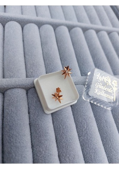 Zanaatsilver 925 Ayar Gümüş Zirkon Tek Taşlı Kutup Yıldızı Küpe Rose Renk 2'li Gümüş