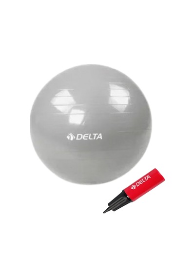 Delta 55 Cm Kutulu Pilates Topu Gümüş Jcg338