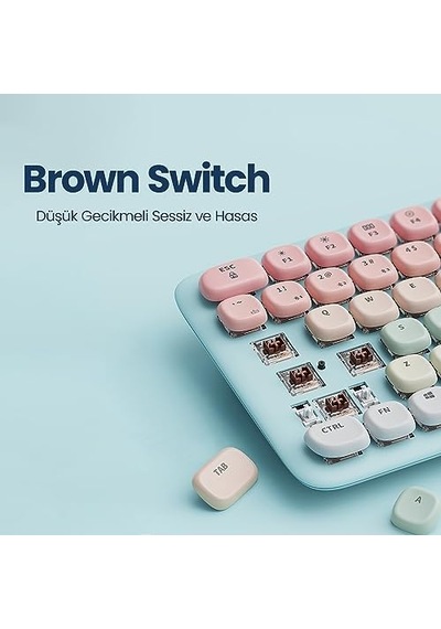 Fun+ Brown Switch Bluetooth Kablosuz İngilizce Mekanik Q Klavye Rainbow