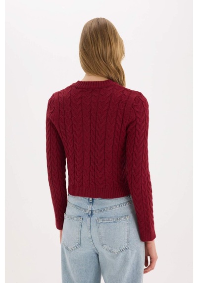 DeFacto Regular Fit Bisiklet Yaka Selanik Örgü Desenli Basic Düz Triko Hırka C9044AX25SPBR285 Bordo