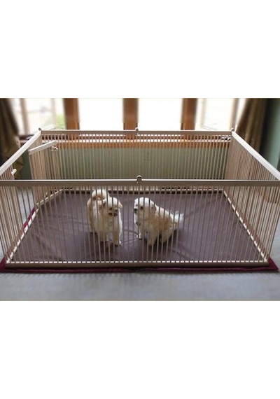 200x100 Ahşap Köpek Çiti (Yükseklik 50 cm.)