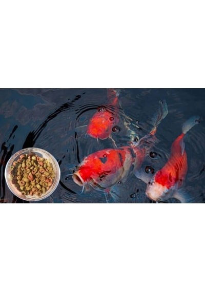 Canlipetshop Pellet Koi Japon Balığı ve Büyük Boy Ciklet Yemi 1 KG