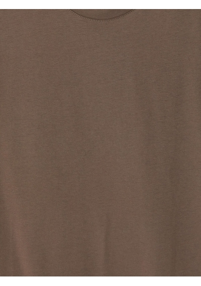 Lcwaıkıkı Classic Kahverengi Slim Fit İnce Kumaş Erkek Tişört /02