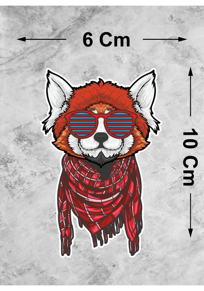 Gözlüklü Kedi Sticker - Araba Oto Motosiklet Karavan Cam Araç Sticker - 00296 10X6 Cm