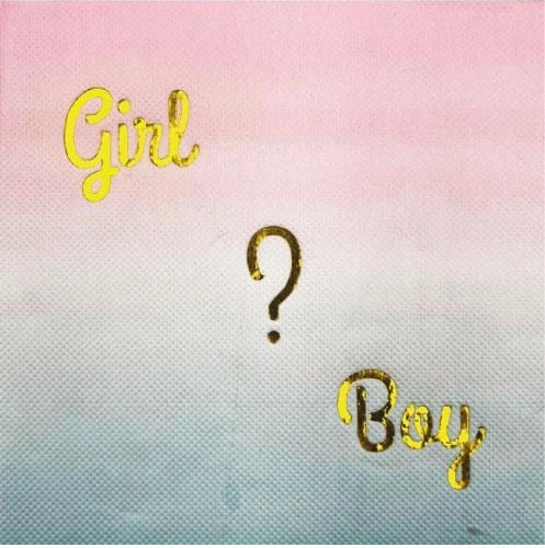 Peçete Cinsiyet Partisi Peçetesi Pembe Mavi Geçişli Girl Boy Yazılı Lüks Cinsiyet Peçetesi 20li +3