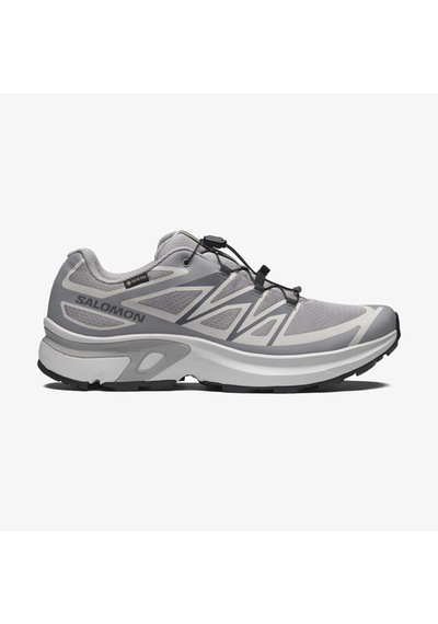 Salomon Xt-evr Gtx M Erkek Ayakkabısı L49143800 Çok Renkli