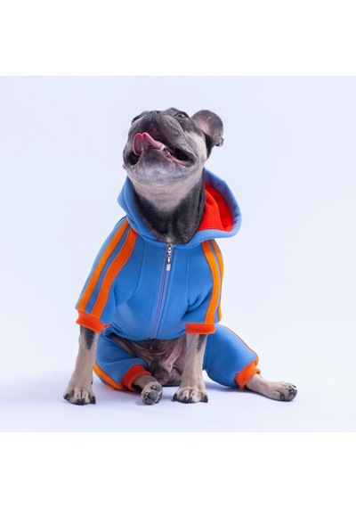 Mavi Denver Track Tulum Köpek Tulumu Köpek Kıyafeti Köpek Eşofmanı Kedi Kıyafeti
