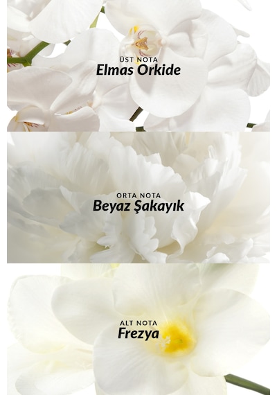 Incandessence Canım Annem Yazılı Kadın Parfüm Edp 50 Ml. Üçlü Paket Çiçeksi