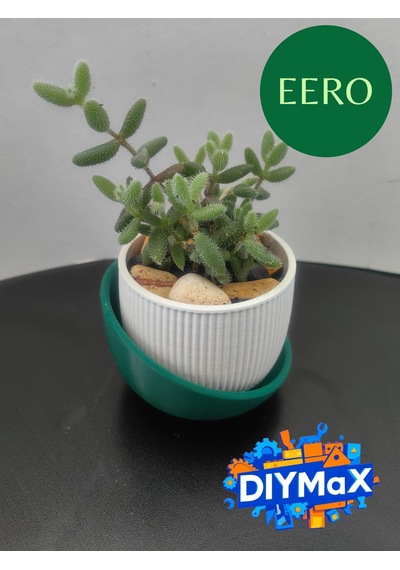 Eero Planter Saksı 8x8 Cm Dekoratif Modern Minimal Sukulent Saksı Beyaz - Yeşil