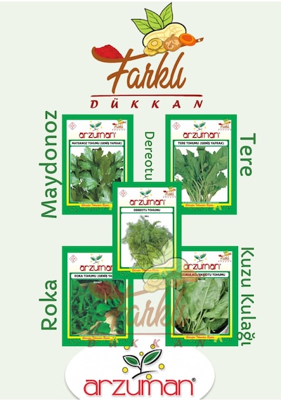 Yeşillik Tohum Seti MaydanozTereRokaKuzukulağıDereotu 100 GR